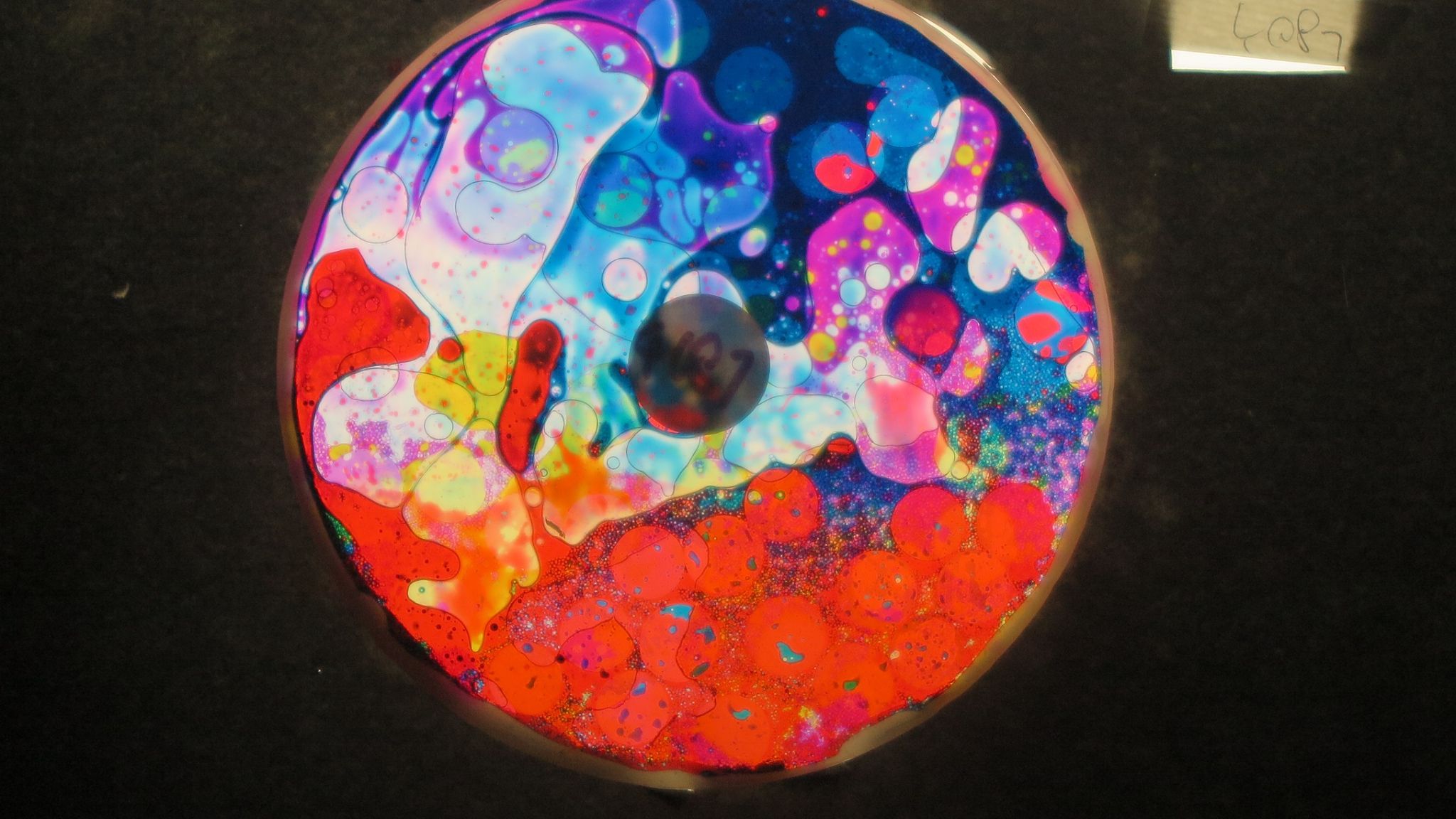 BV4087 bubble vision oil wheel